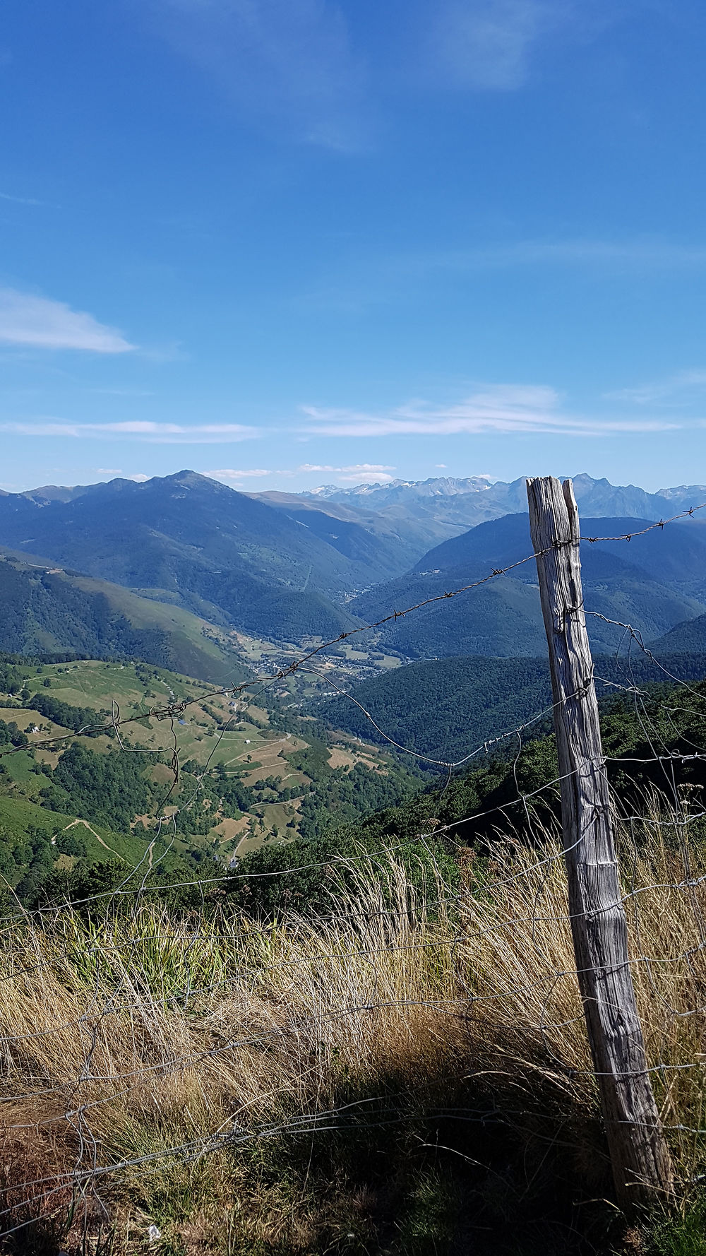 Col d'aspin