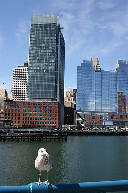 Waterfront (Boston)