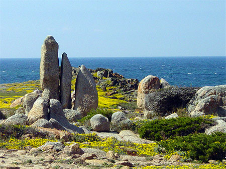 Roche dressée. Roche dressée.