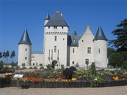 Le château médiéval des contes de fées