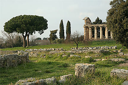 Temple de Ceres à Paestum