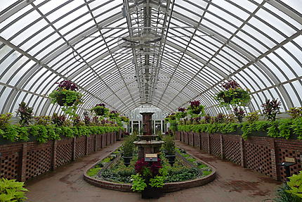 Intérieur du Phipps Conservatory