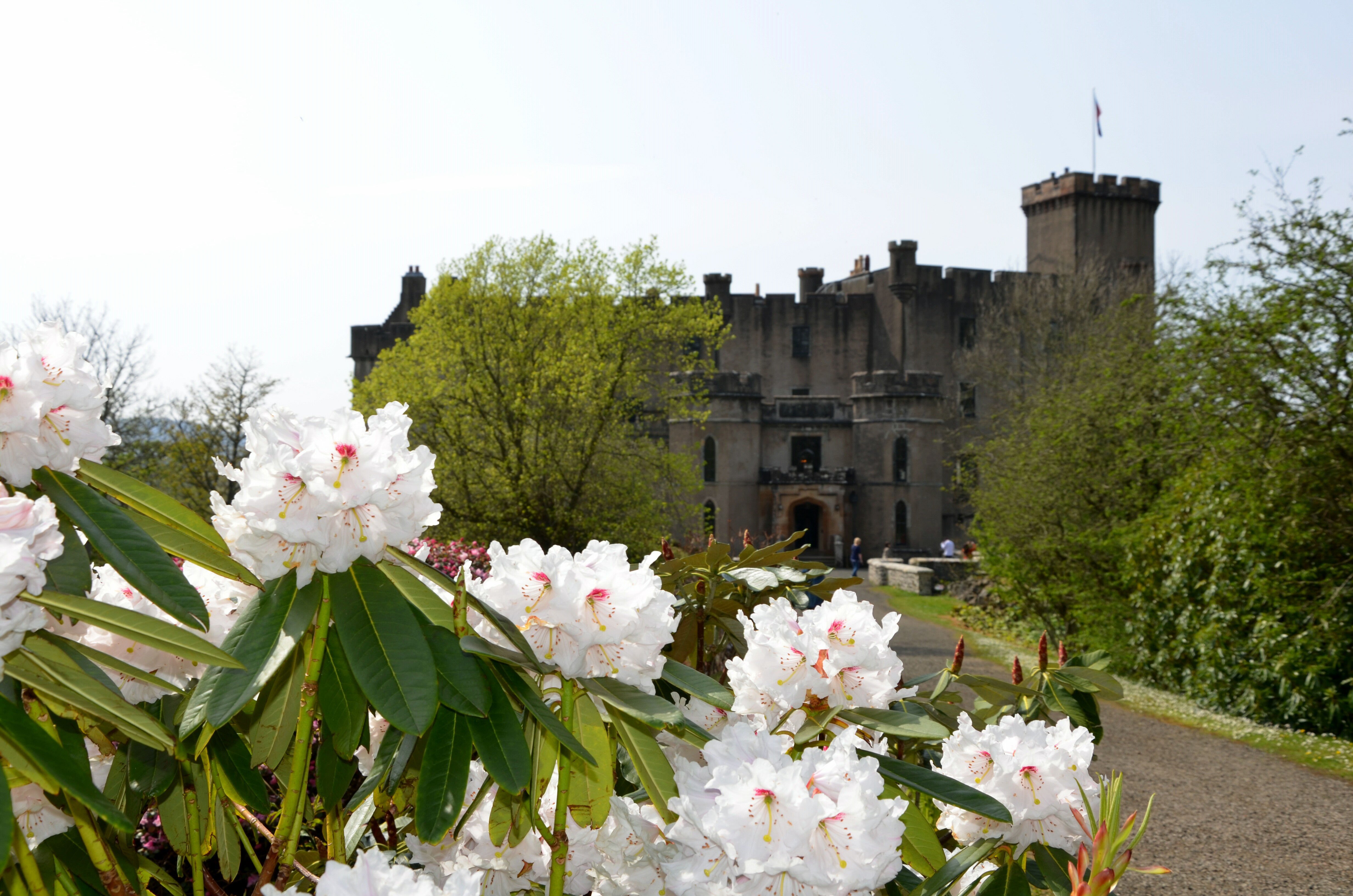 Château du clan Macleod Château du clan Macleod