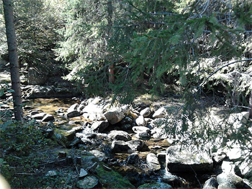 Près de Camprieu