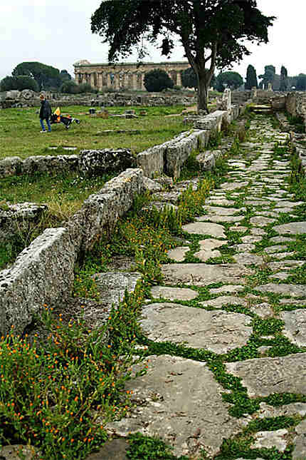 Paestum Voie pavée vers Temple de Neptune 