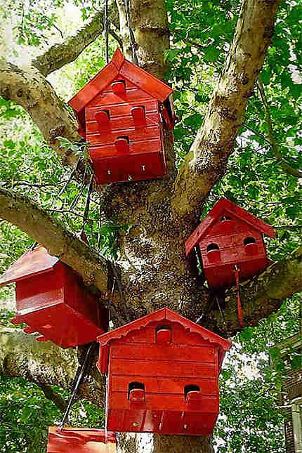 Des maisons rouges dans les arbres