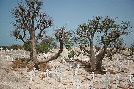 Le cimetière coquillage