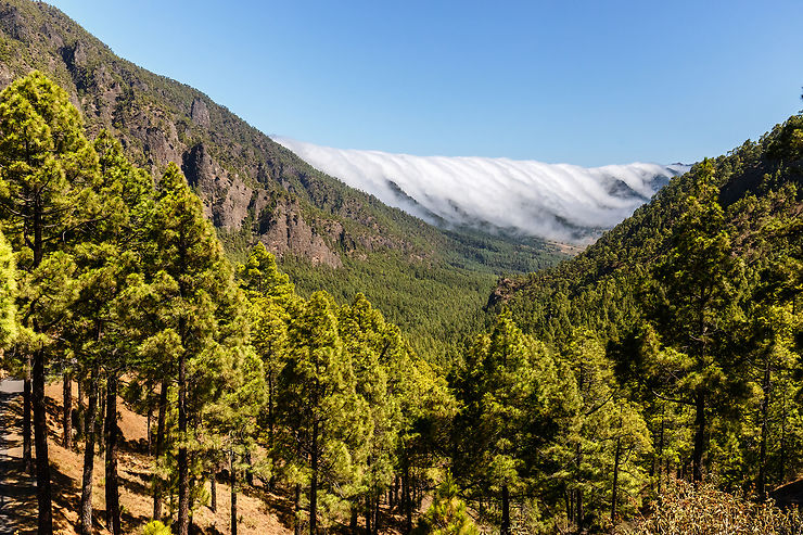 Parc national de la Caldeira de Taburiente – La Palma