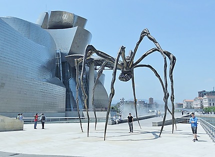 Araignée de Guggenheim