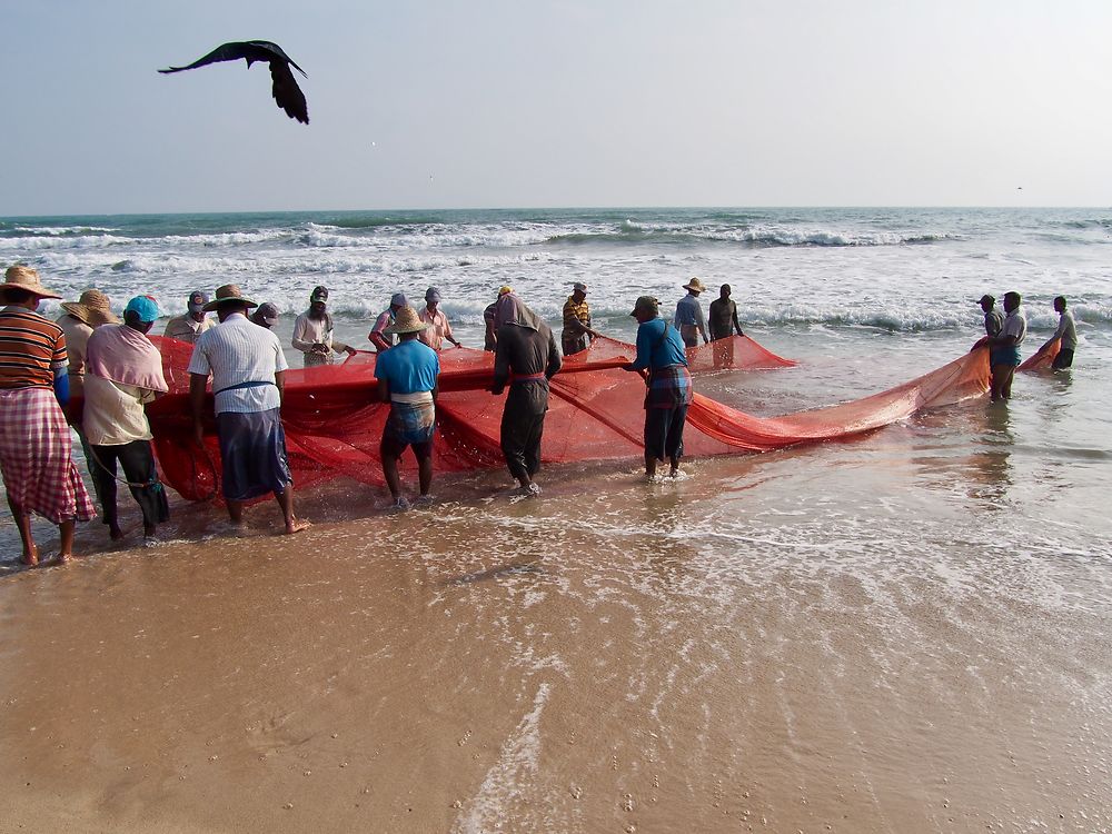 Pêche à Nilaveli 