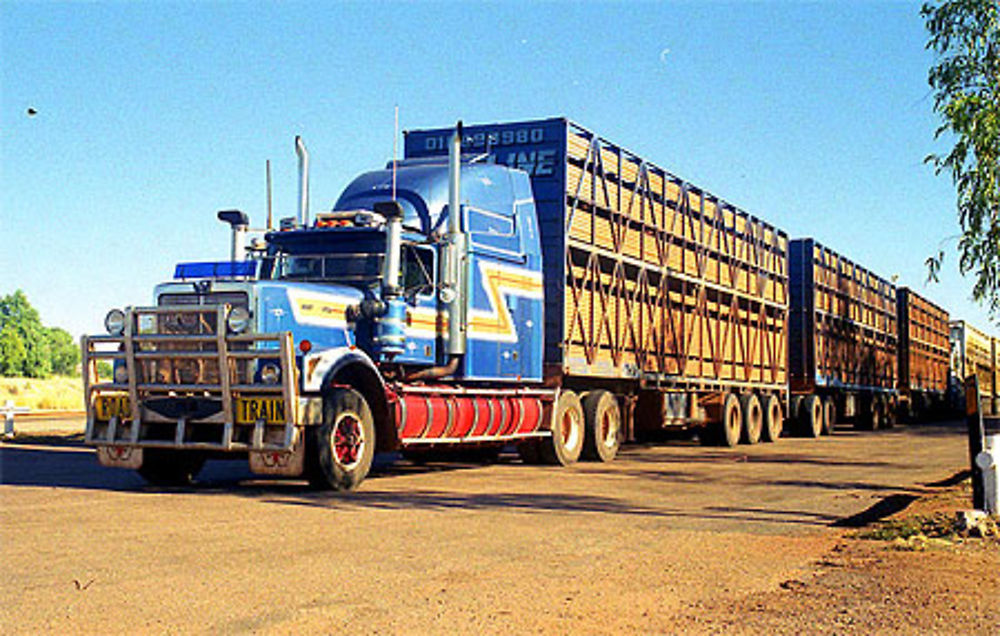 Road Train