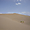 Charme du désert