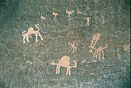 Peinture rupestre au wadi rum