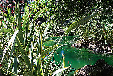 Dans le Golden Gate Park