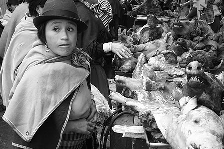 Marché de Guamote Marché de Guamote