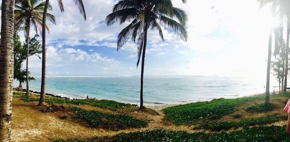 Sous les cocotiers