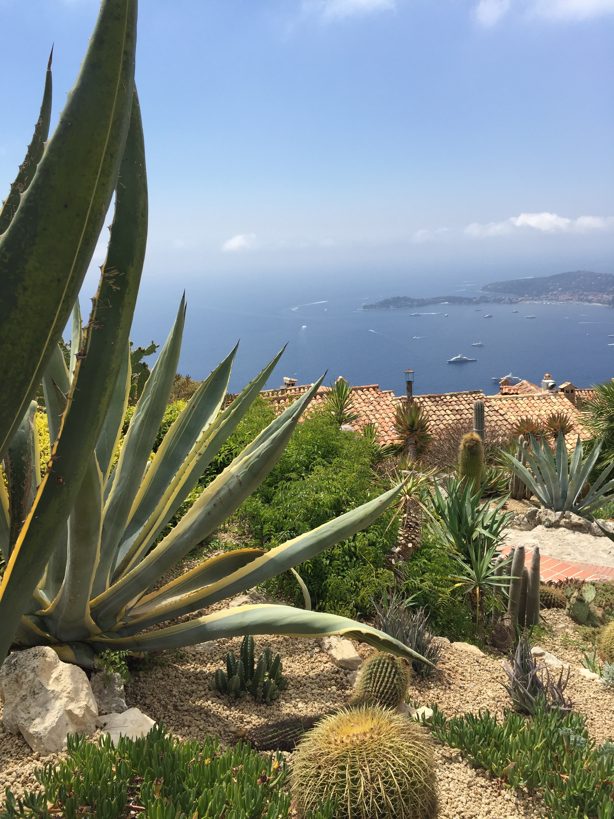 Jardin exotique Jardin exotique
