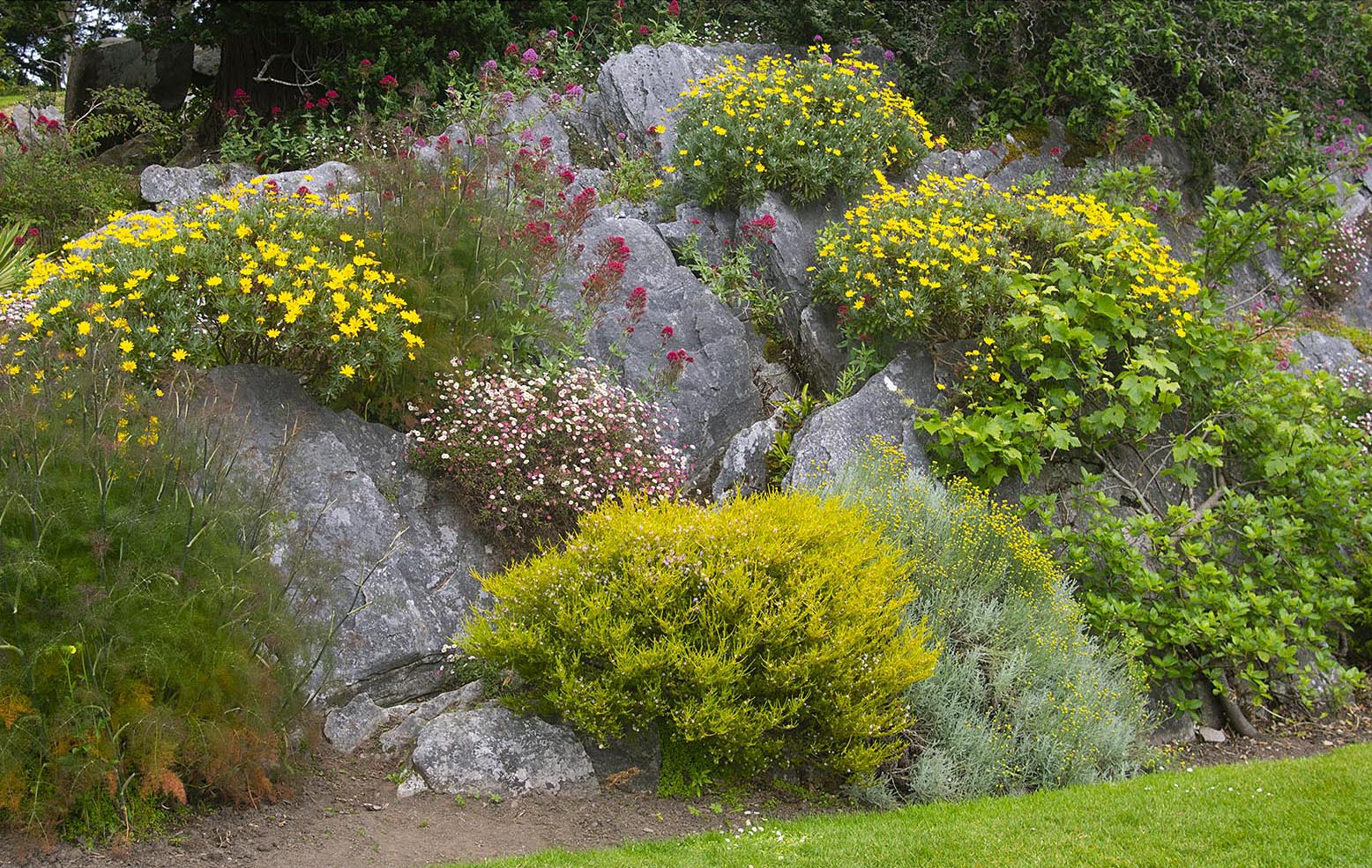 Muckross House