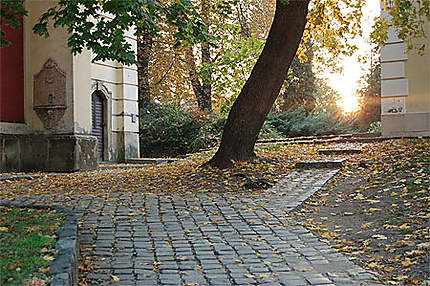 Parc de l'église serbe, à Szentendre