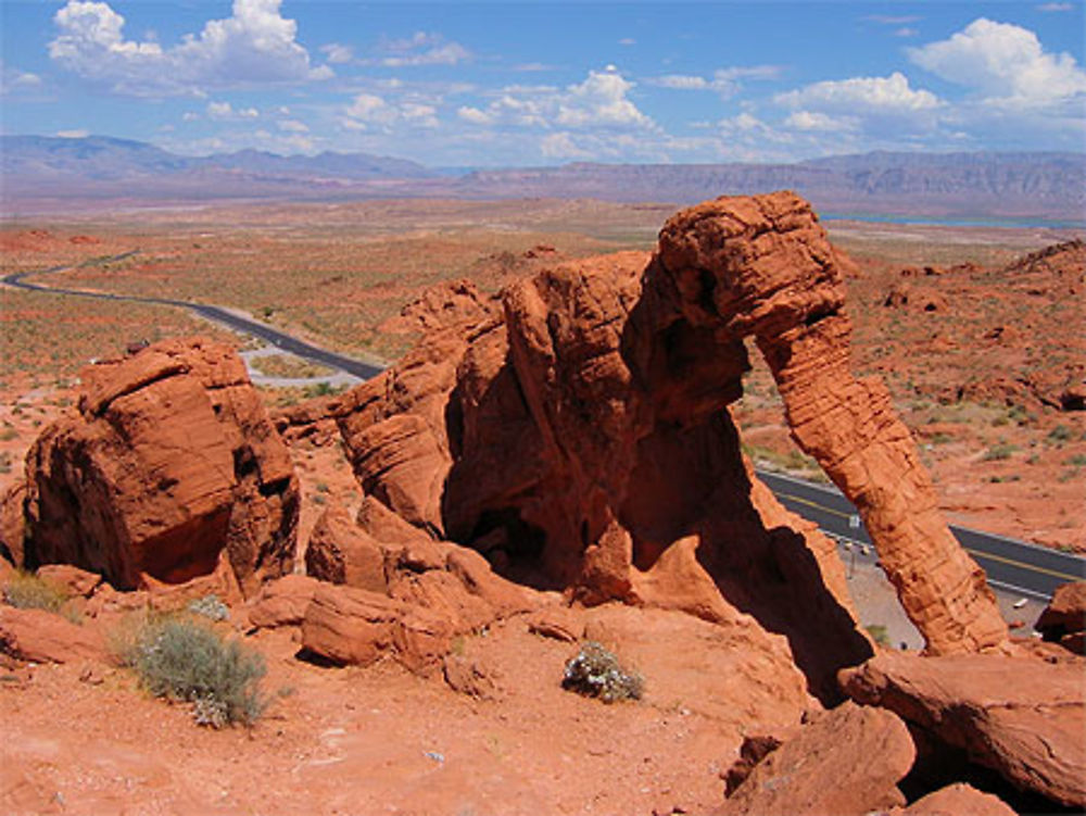 Elephant Rock