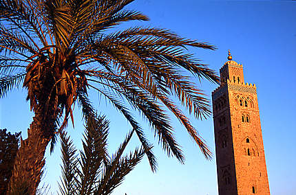 Marrakech, la perle du Sud
