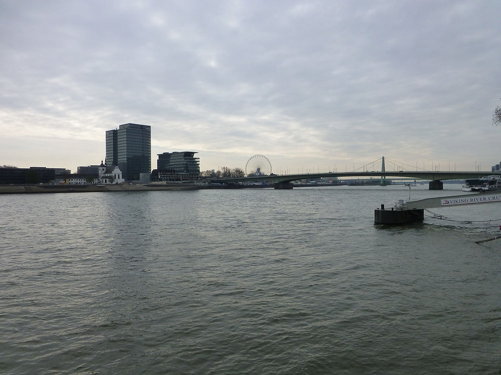 Rhin à Cologne