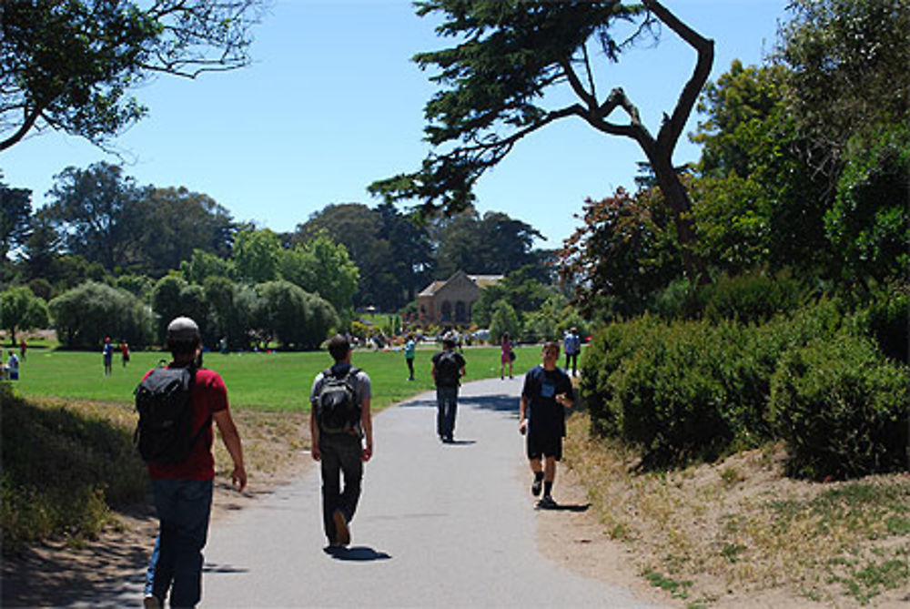 Les allées du Golden Gate Park