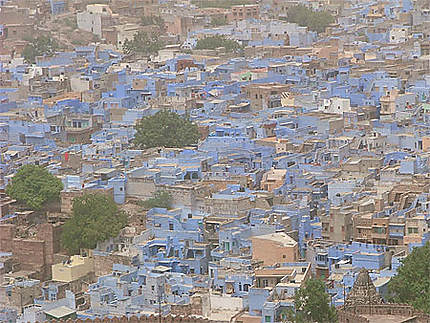 Jodhpur la ville bleue