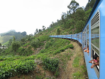 Train du Sri Lanka
