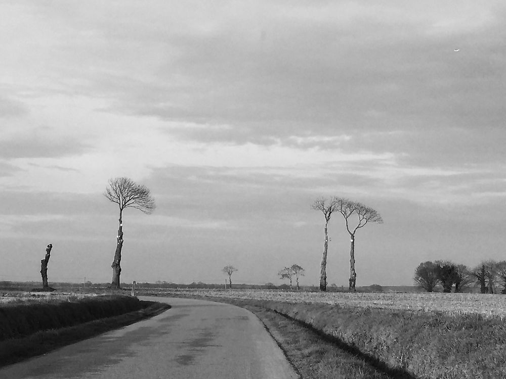 Route de campagne à Tinteniac, Bretagne