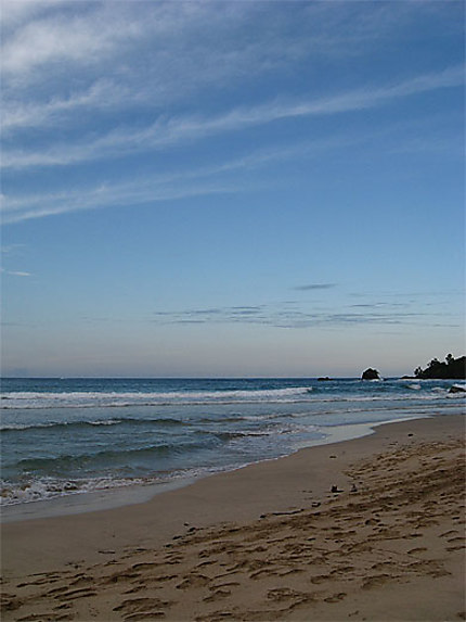 Playa Wizzard