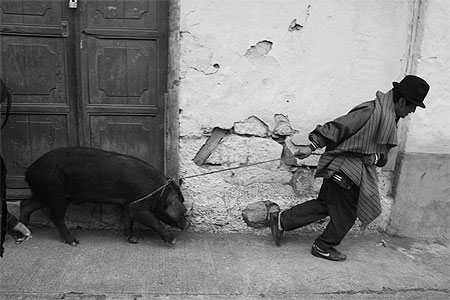A mon cochon A mon cochon