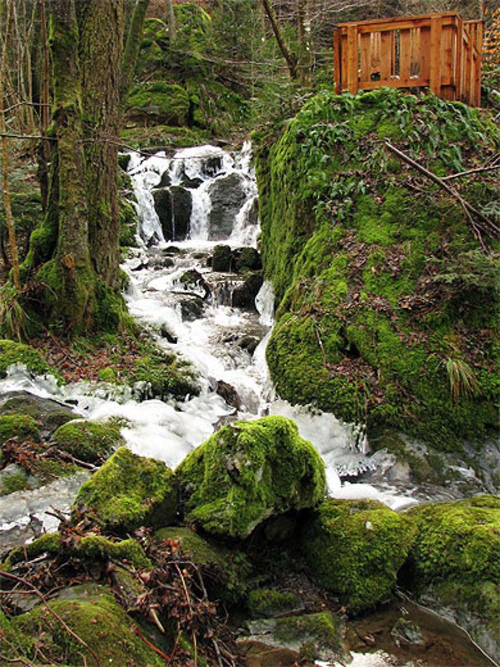 Cascade Haut-Rhinoise