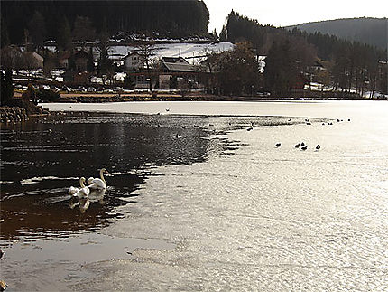 Le lac de Gérardmer