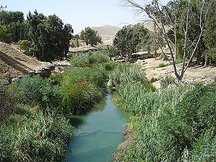 Wadi Al-Hidan