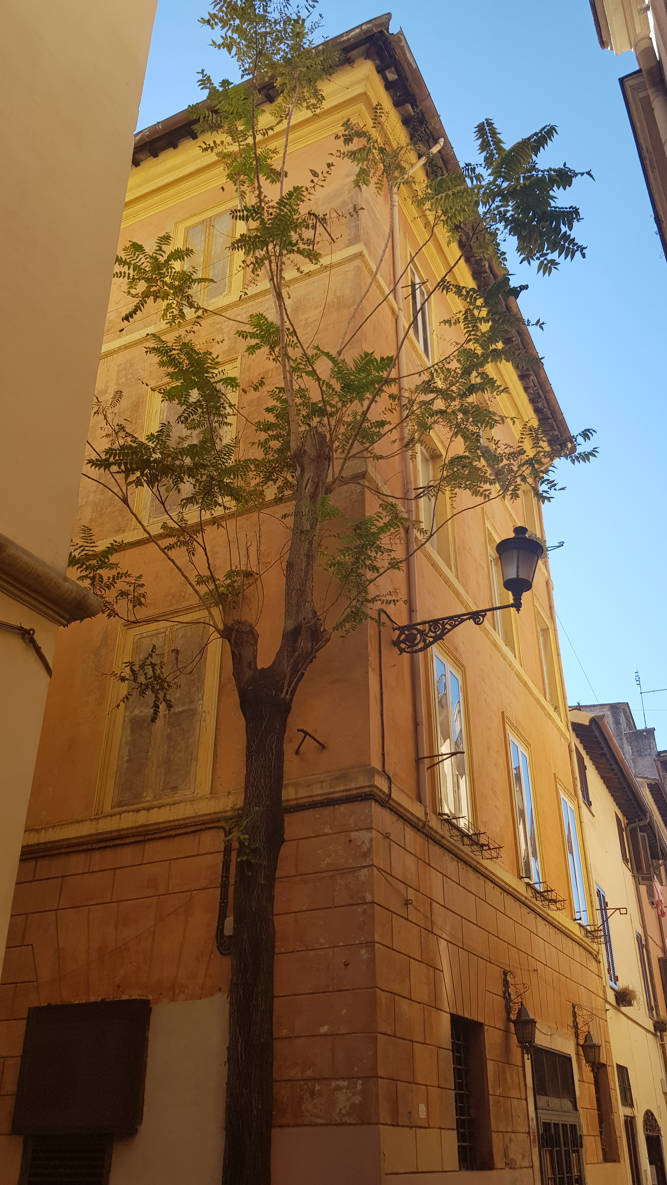 Trastevere Trastevere