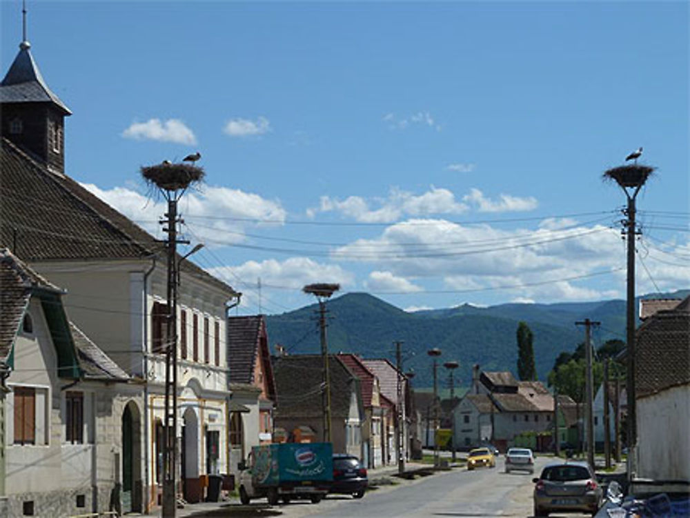 Village saxon colonisé par les cigognes