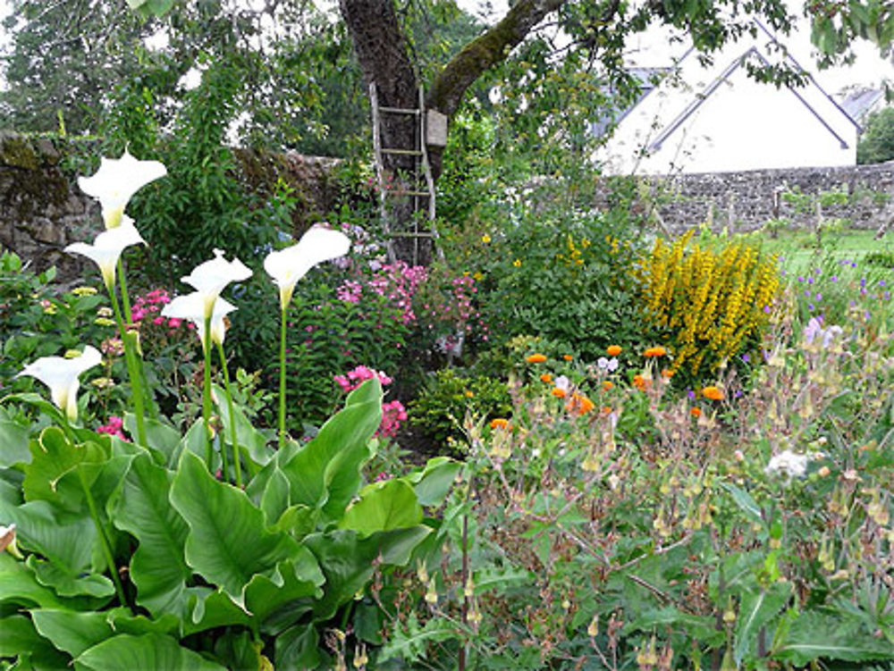Jardin de curé