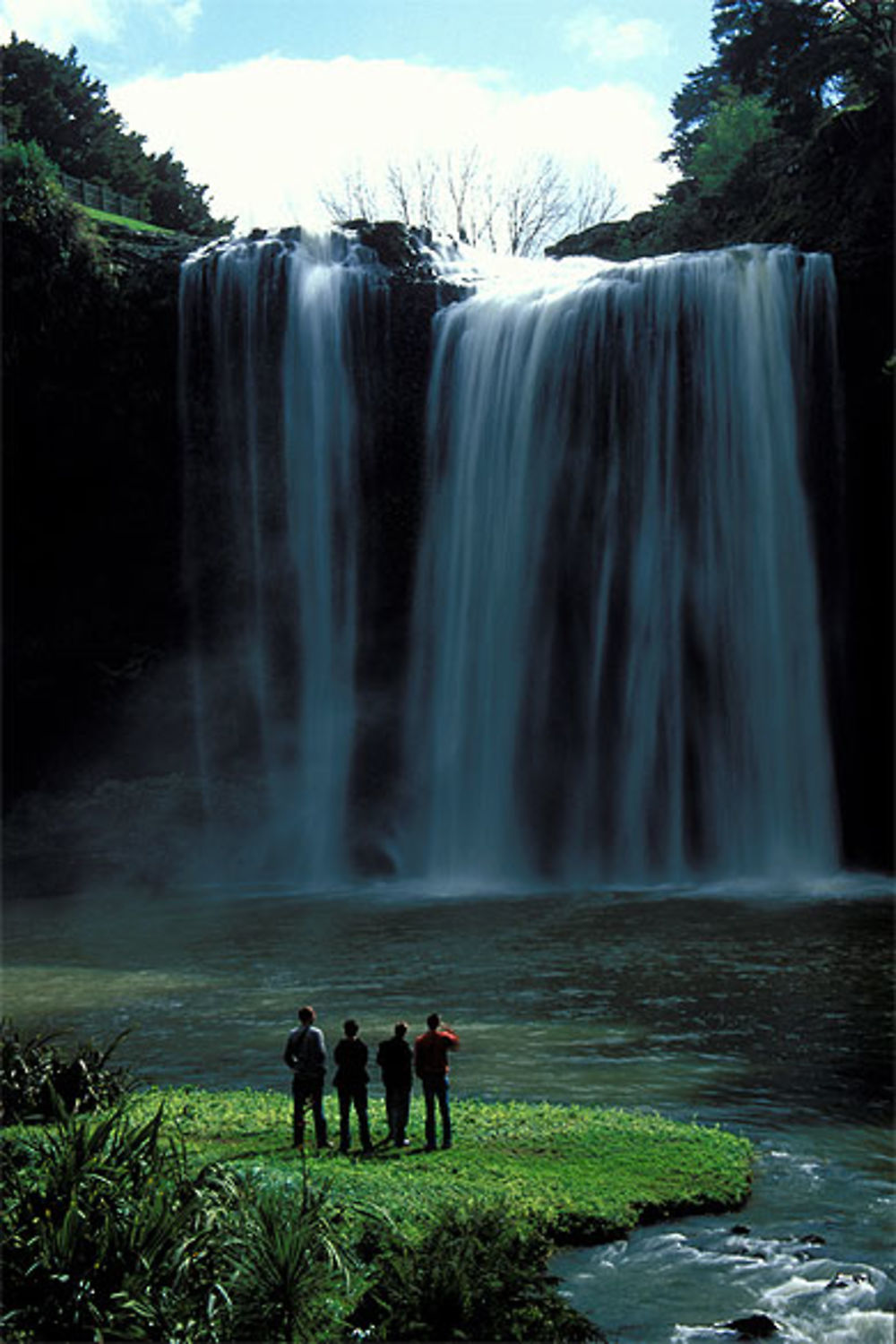 Whangarei falls