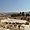 Forum de Jerash