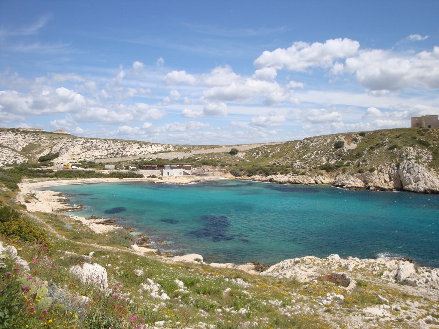 Ile Ratonneau Ile Ratonneau