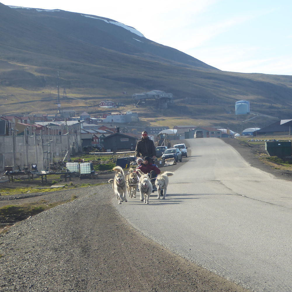 Traîneau sur route à Spitzberg, Norvège