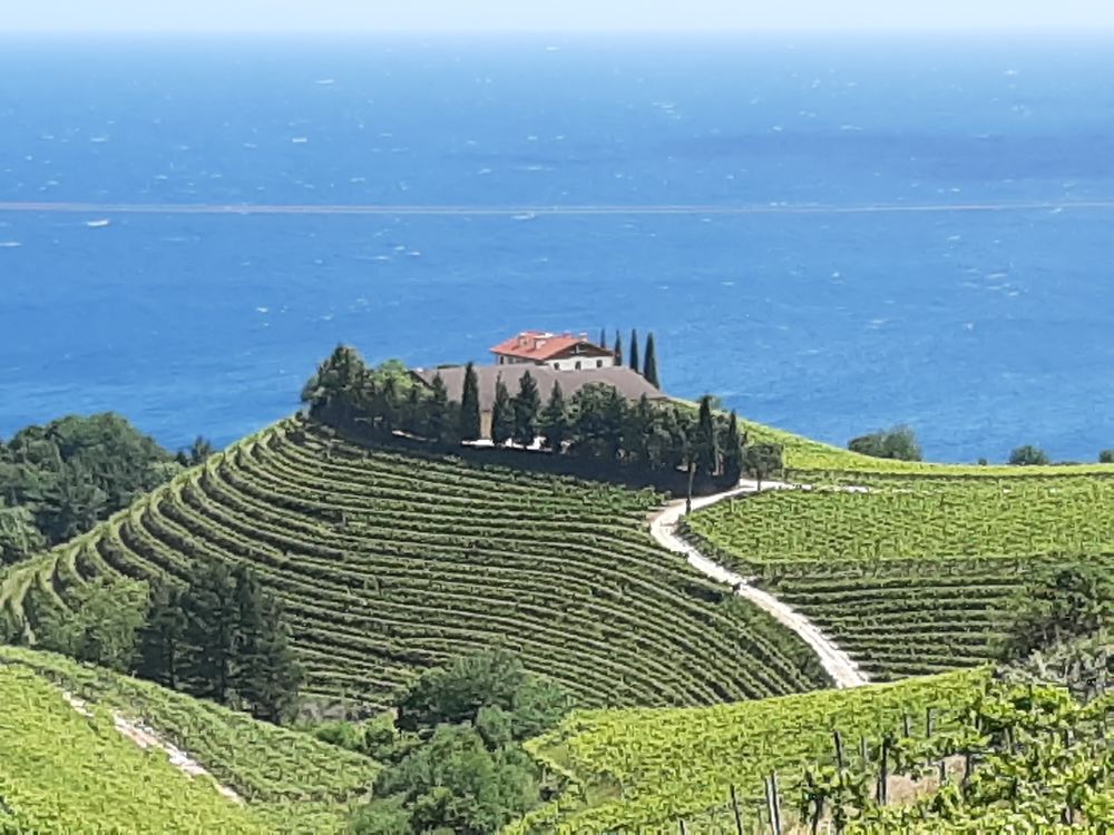 Entre vignoble et mer à Getaria