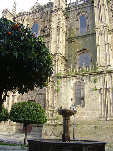 Plasencia Plasencia