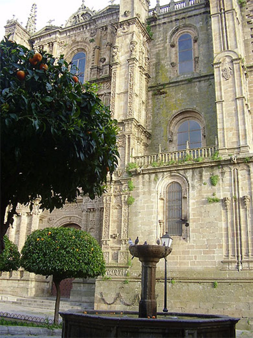 Plasencia