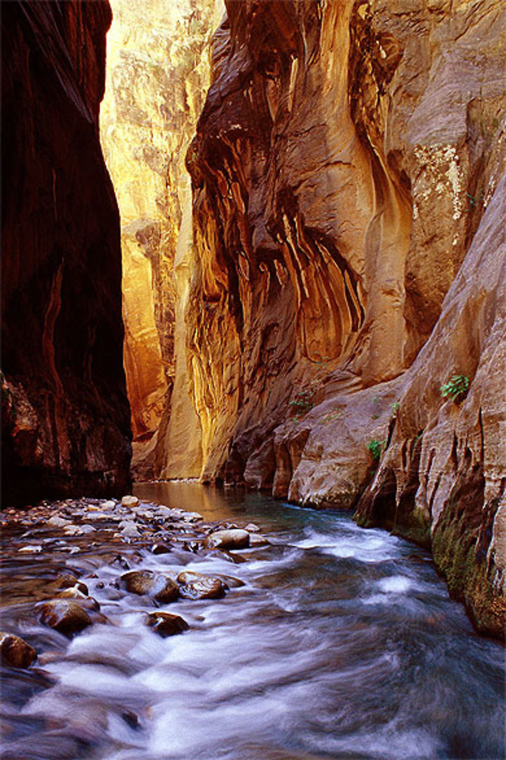 The Narrows 