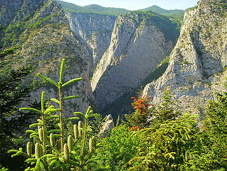 Canyon de Valla