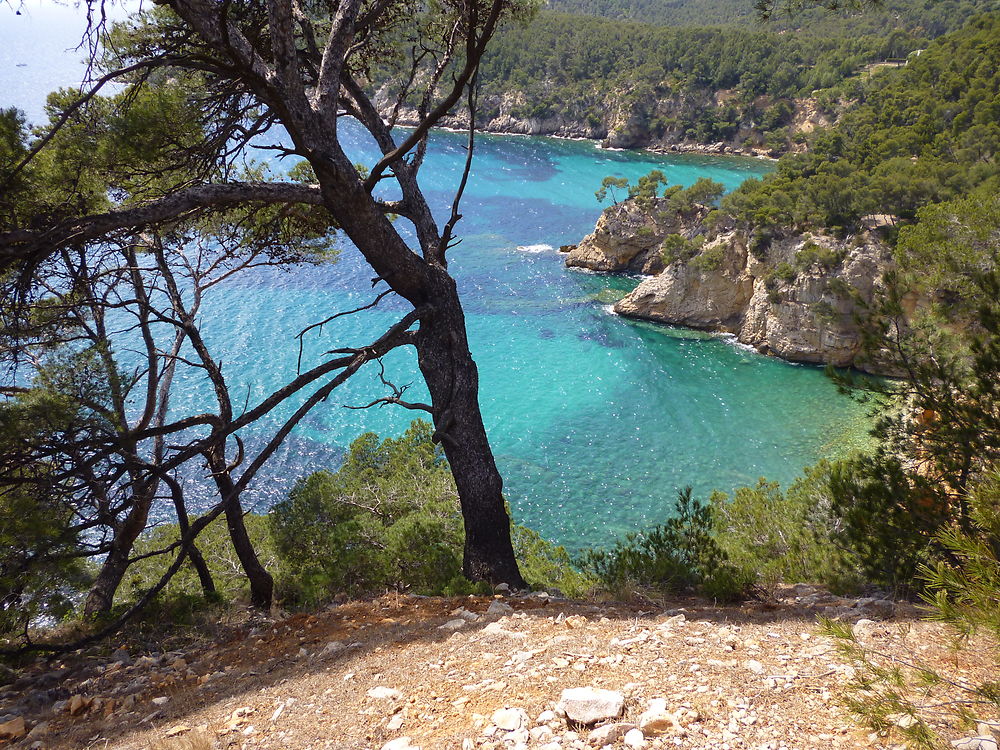 Sentier des douaniers