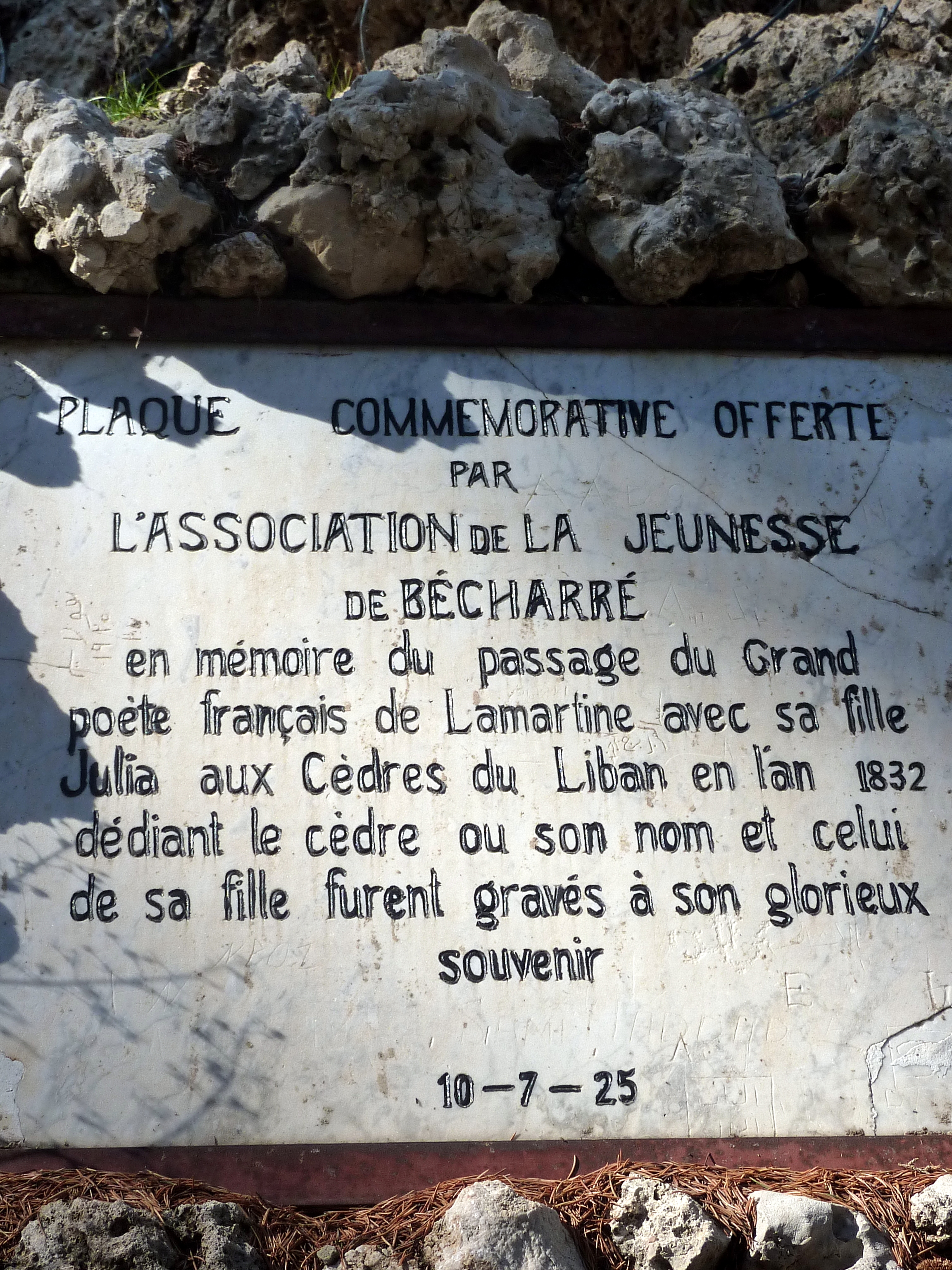 Forêt des cèdres de Dieu Forêt des cèdres de Dieu