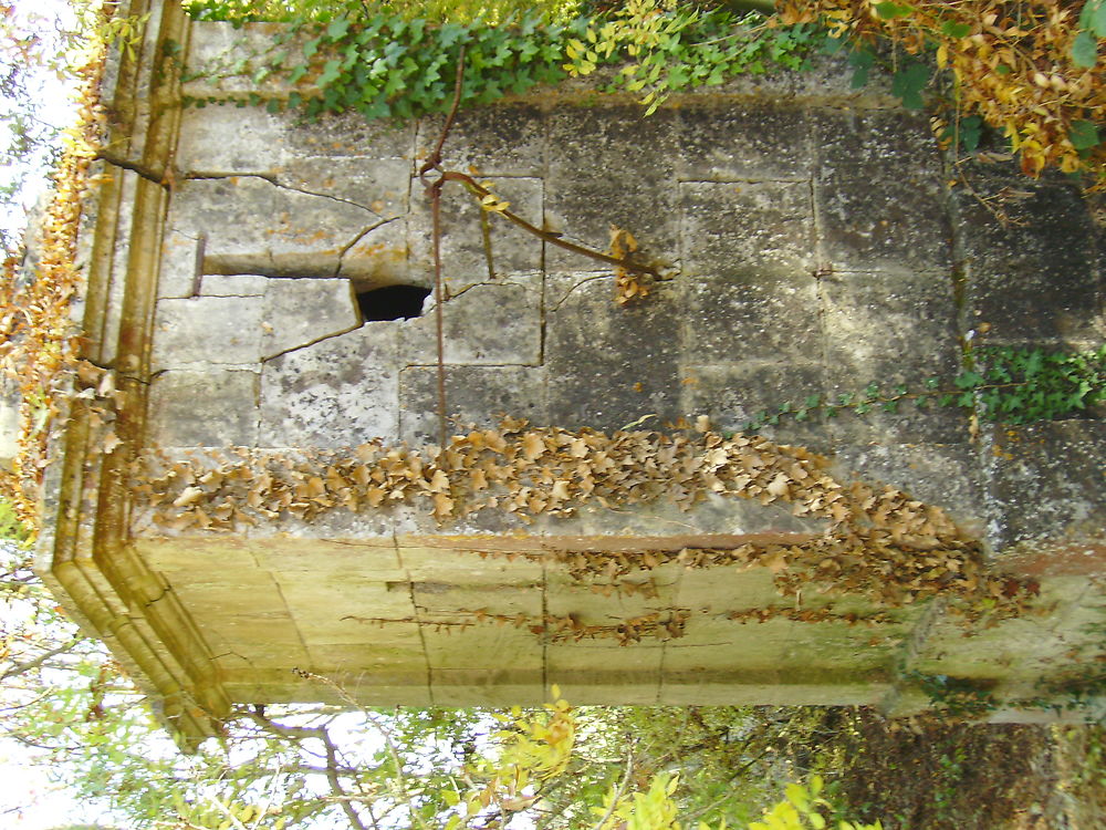 Ancienne fontaine à puymoreau 17400